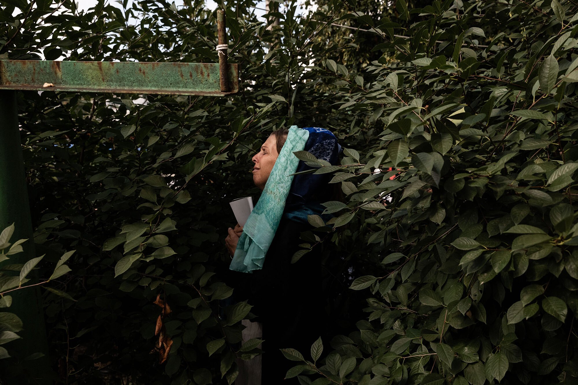 A woman prays in the bushes, the only bit of shade in a Section of a Hasidic Jewish pilgrimage site in Uman, Ukraine.