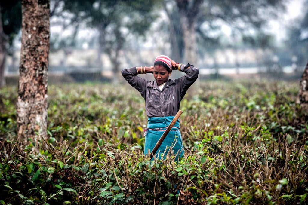 A woman works on field in Nagaland, India.