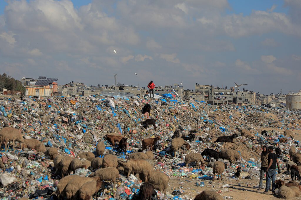 Gazans stroll on an informal dumpsite with their sheep.