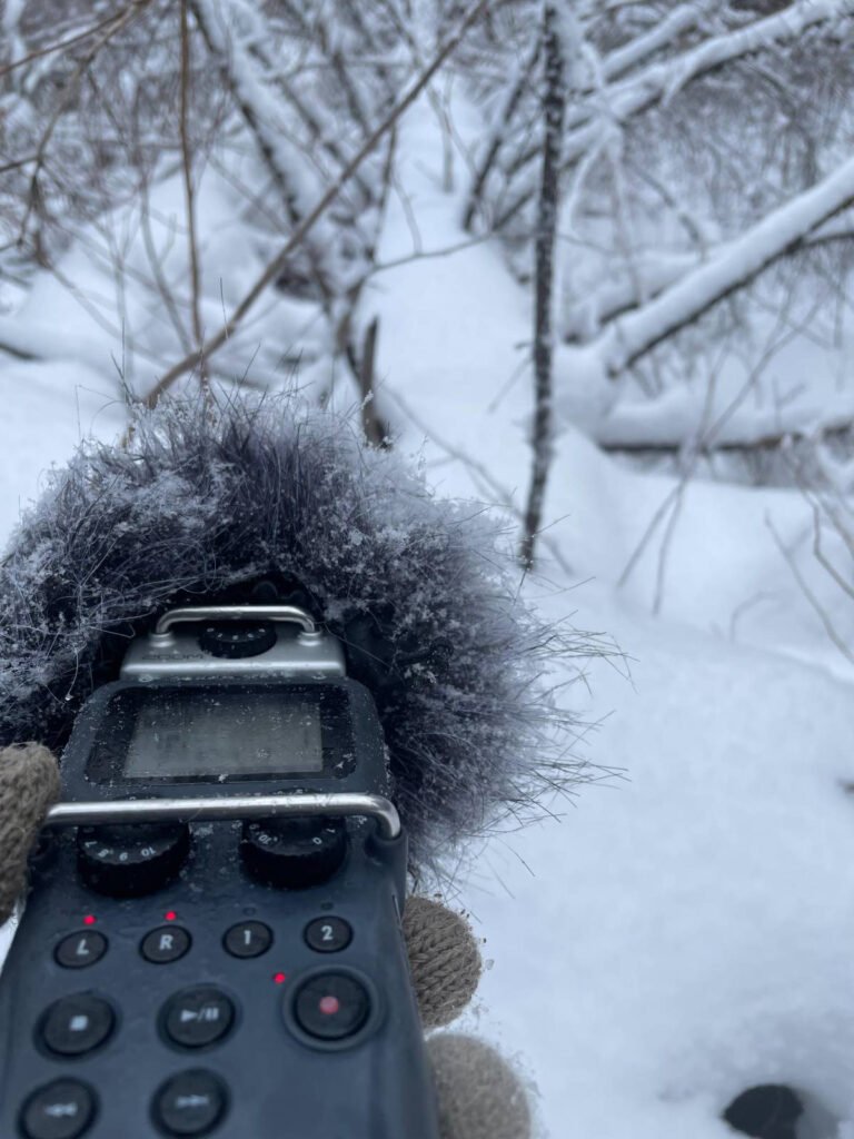 recording nature sound in Changbai Mountain Reserve.