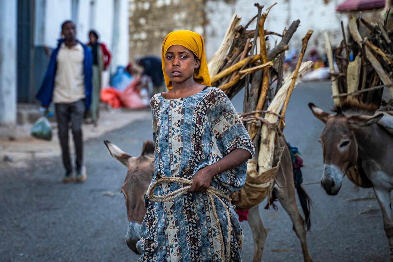 A young woman walks into the Harar city early, carrying bundles of wood to sell