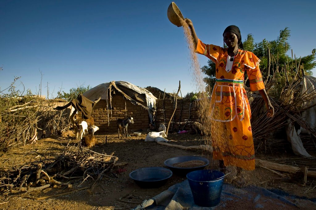 Chad / Darfurian refugees from Sudan / Farchana camp