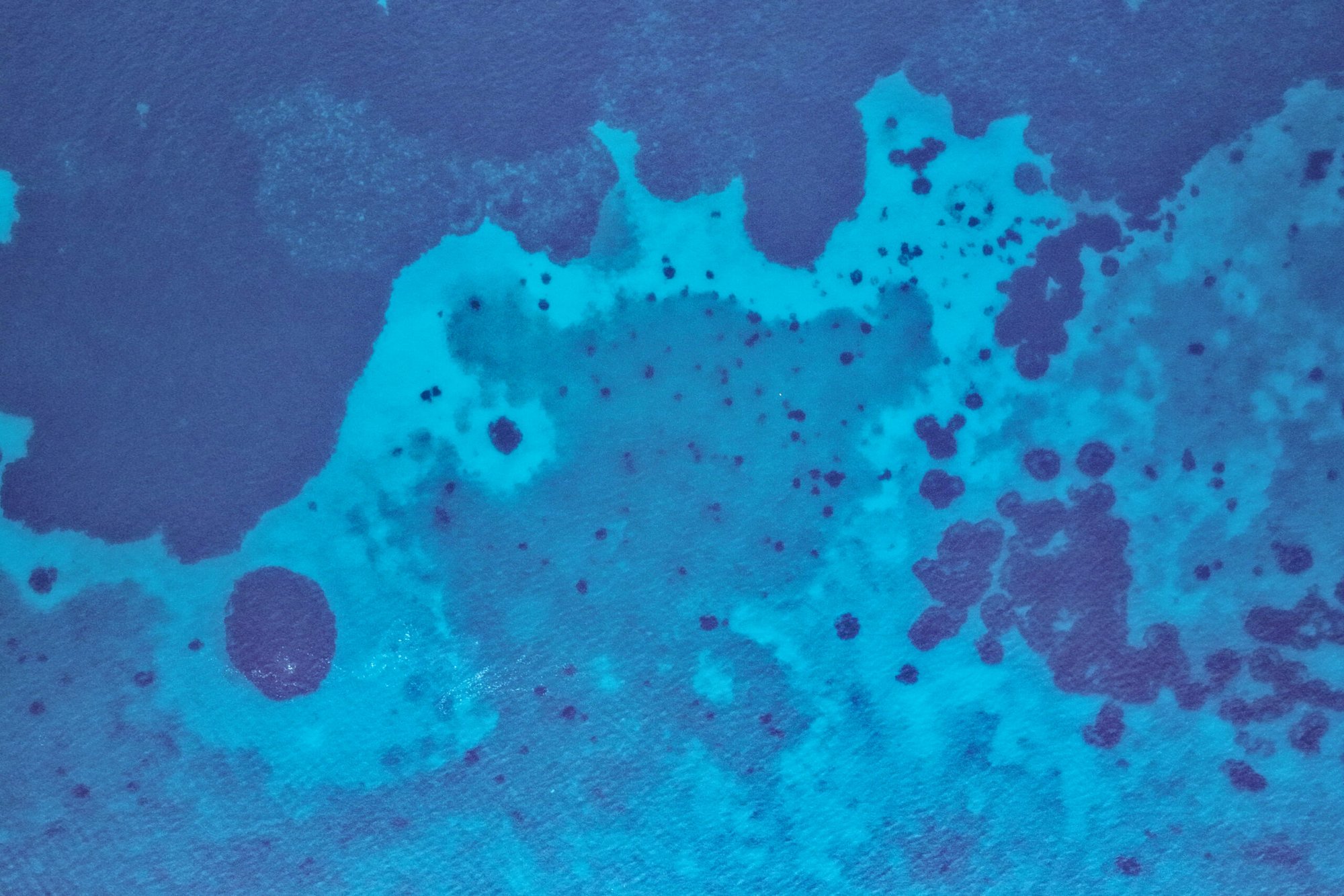 Turbulence in Eastern Mediterranean: How Warships and Warming Seas Strangle Fish and Fishermen