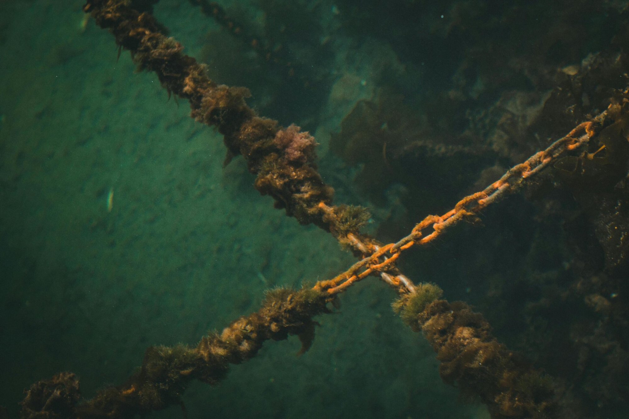 The Mediterranean at Breaking Point